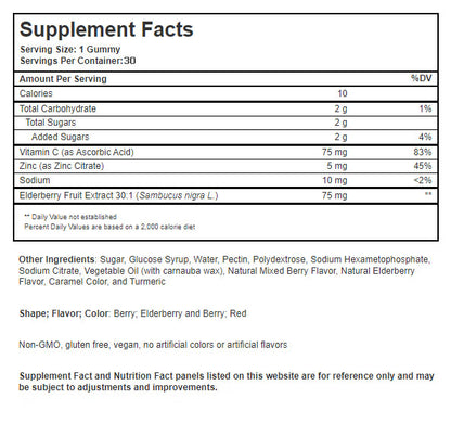 Elderberry Extract with Vitamin C